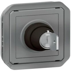 Legrand Interrupteur à Clé Composable Ronis 2 Positions étanche Plexo Gris