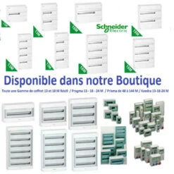 Schneider® Relais Inverseur 24V/AC VMC Dsc- Gaz Resi9 Xp - Schneider R9PCR 9 Schneider® Relais Inverseur 24V/AC VMC Dsc- Gaz Resi9 Xp - Schneider R9PCR -Douille Soldes Boutiquec 14871928 5