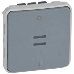 Legrand Interrupteur Bipolaire Lumineux Plexo Composable IP55 10AX 250V Gris (069531)