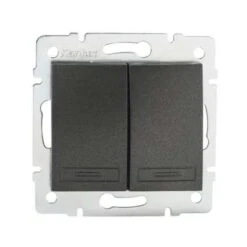 Interrupteur Encastrable Double DOMO Graphite