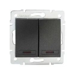 Interrupteur Encastrable Double Avec Voyant Lumineux LED DOMO Graphite