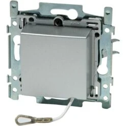 Interrupteur Va-et-vient À Tirage Niko Intense Sterling