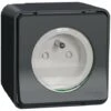 Schneider® Mureva - Prise De Courant 2P+T NF - Gris - En Saillie - IK08 IP55 - MUR36030