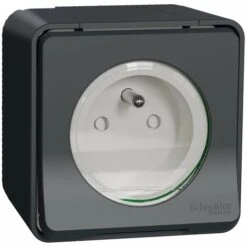 Schneider® Mureva - Prise De Courant 2P+T NF - Gris - En Saillie - IK08 IP55 - MUR36030