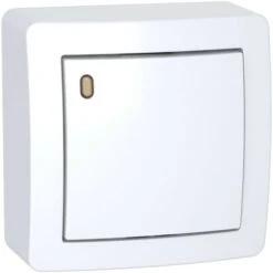Schneider® Alréa, Poussoir O/F Lumineux Faible Conso Avec Cadre Saillie, Blanc Polaire (ALB62052P)