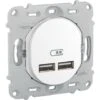 Schneider® Ovalis - Double Chargeur Usb 2.1 A - Sans Plaque De Fintion - Blanc (S261407)