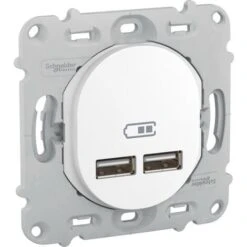 Schneider® Ovalis - Double Chargeur Usb 2.1 A - Sans Plaque De Fintion - Blanc (S261407)