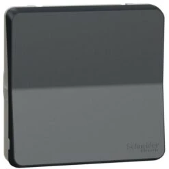 Schneider® Mureva Styl - Interrupt Bipolaire - Composable - IP55 IK08 - Connex Auto - Gris (MUR35034)