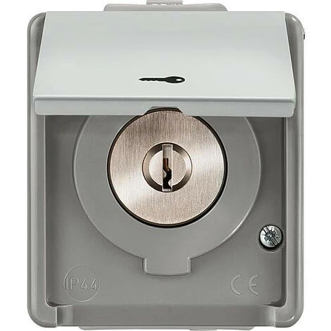 Siemens Interrupteur A Clé Pour Store Avec Symbole Clé, 1 Pole, 1 Pc 1 Siemens Interrupteur A Clé Pour Store Avec Symbole Clé, 1 Pole, 1 Pc