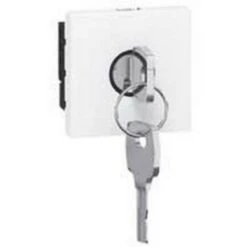 Legrand 76630 - Inter à Clé Prog Mosaic - Pour BAES - 2 Mod - Blanc