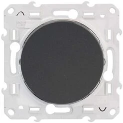 Schneider® Va-et-vient Anthracite 10A à Vis Odace