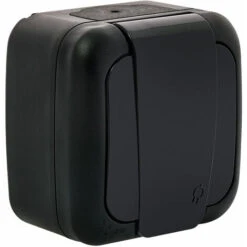 Prise 2P+T étanche Noire - Viko