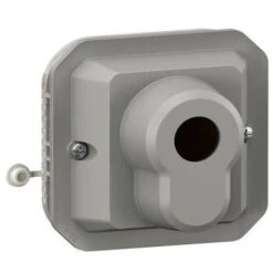 Legrand Interrupteur à Clé Ronis 3 Positions Plexo Composable Gris (069535L)