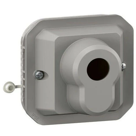 Legrand Interrupteur à Clé Ronis 3 Positions Plexo Composable Gris (069535L) 1 Legrand Interrupteur à Clé Ronis 3 Positions Plexo Composable Gris (069535L)