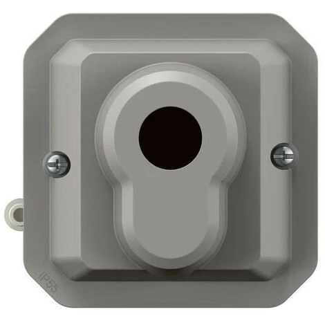 Legrand Interrupteur à Clé Ronis 3 Positions Plexo Composable Gris (069535L) 2 Legrand Interrupteur à Clé Ronis 3 Positions Plexo Composable Gris (069535L) – Image 2