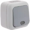 Poussoir à Voyant étanche Gris - Viko