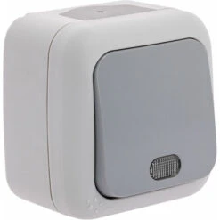 Poussoir à Voyant étanche Gris - Viko