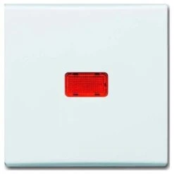 BUSCH-JAEGER 2107-32 PLAQUE DE RECOUVREMENT, COMMUTATEUR INVERSEUR DE CONTRÔLE, BLANC, PROTÉGÉ CONTRE L'EAU IP44