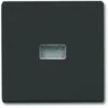 BUSCH-JAEGER 2107-35 NOIR PLAQUE DE COMMUTATION ET OBTURATEUR (1731-0-1742) 2CKA001731A1742