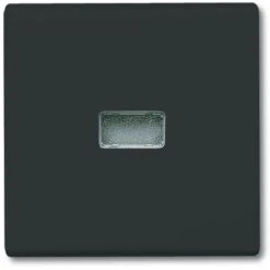 BUSCH-JAEGER 2107-35 NOIR PLAQUE DE COMMUTATION ET OBTURATEUR (1731-0-1742) 2CKA001731A1742 -Douille Soldes Boutiquec 57736733 3