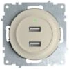 Prise USB Encastrée à 2 Sorties 5V, 2.1 A, Témoin De Charge LED Beige