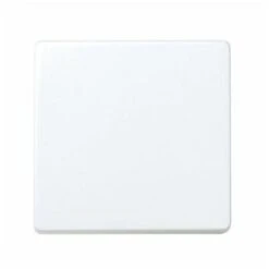 Bouton-poussoir Neutre Simon 27 BLANC 27659-65